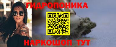 стаф Новодвинск