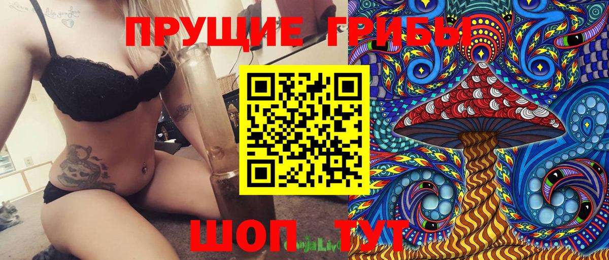 Галлюциногенные грибы Psilocybine cubensis  закладка  Шадринск  Вход с VPN  Псилоцибиновые грибы мицелий 